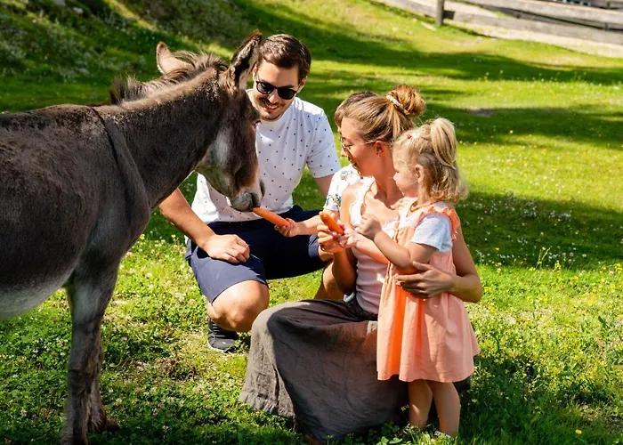 Hirtabua By Interhome Pichl-Preunegg